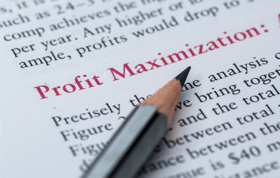 Profit Maximization printed on paper 